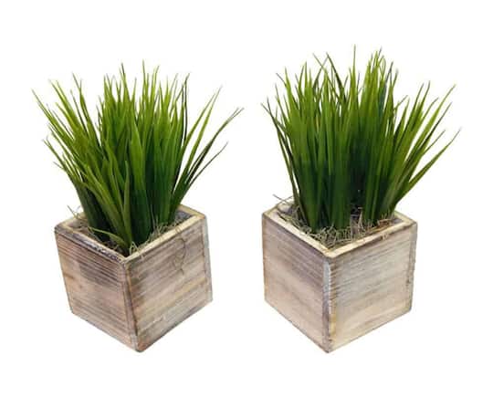 TF Publishing 10&#x22; Grass in Wooden Container, 2ct.